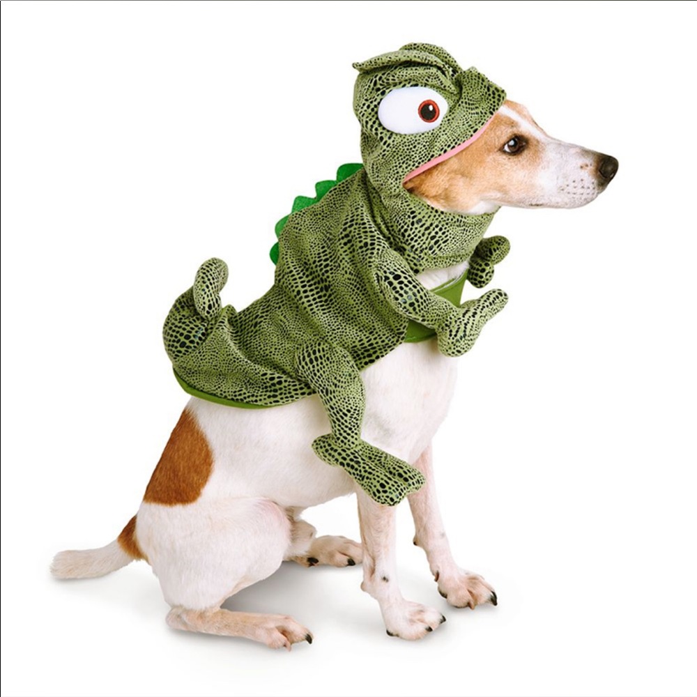 NWT Disney Pascal pet costume